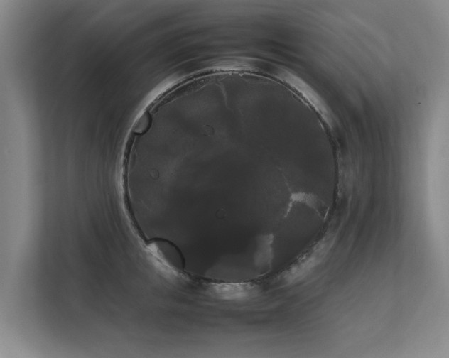 X0000112070853200908041232