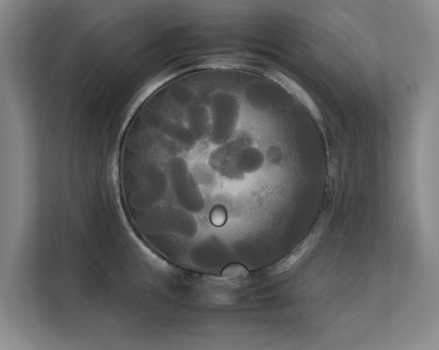 X0000112070855200908041232