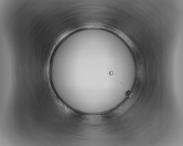 X0000112070856200908041232