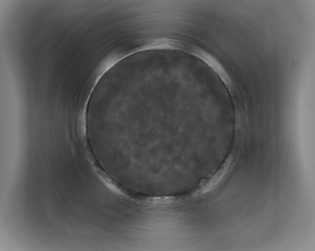 X0000112070858200908041232