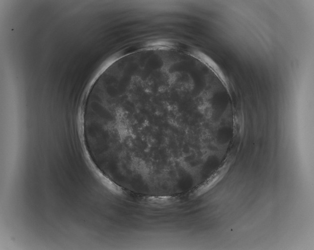 X0000112070859200908041232
