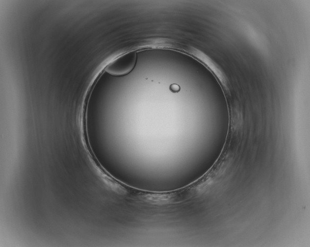 X0000112070861200908041232