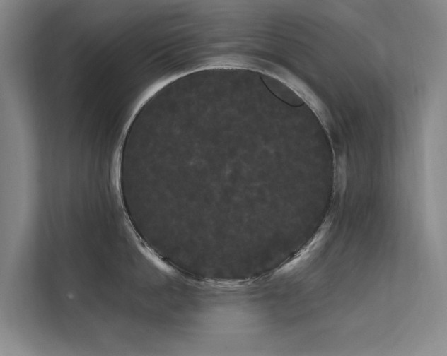 X0000112070862200908041232