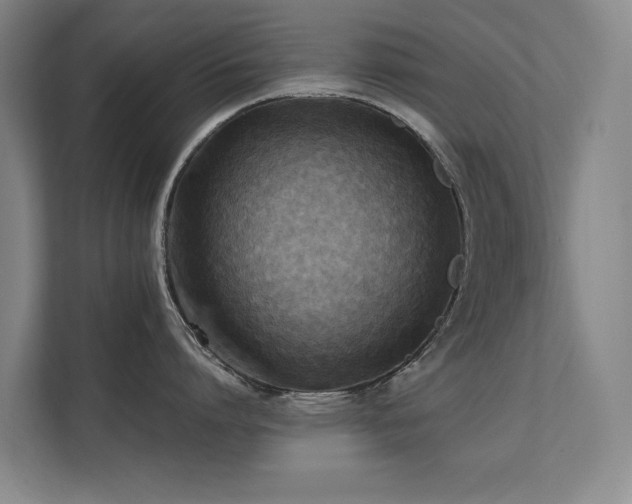 X0000112070864200908041233