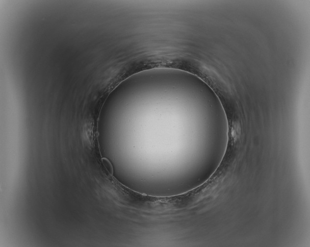 X0000112070867200908041232