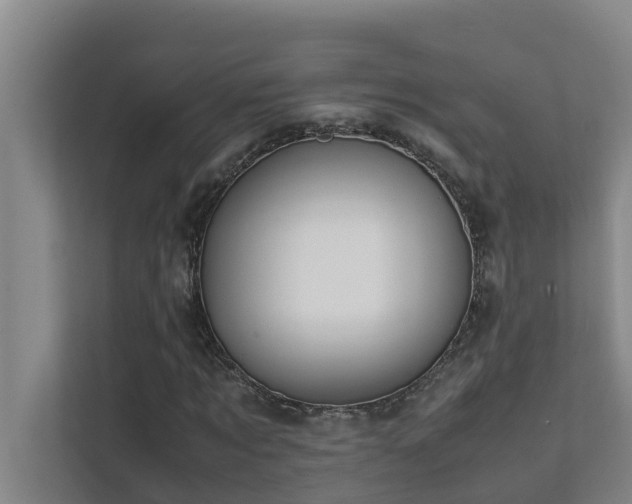 X0000112070869200908041232