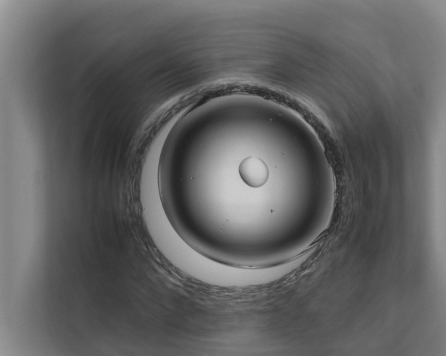 X0000112070872200908041232