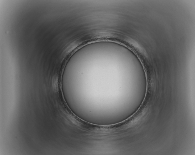X0000112070873200908041232