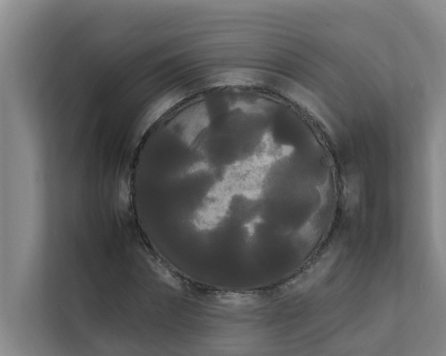 X0000112070874200908041232