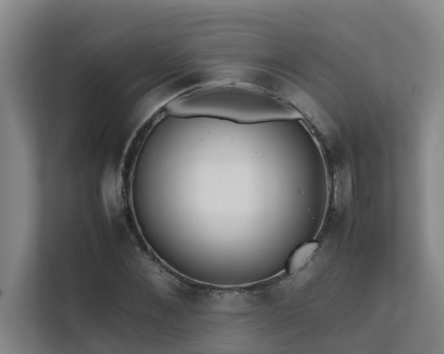 X0000112070876200908041232