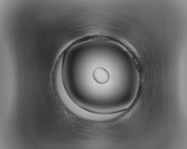 X0000112070877200908041232