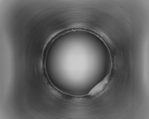 X0000112070880200908041232