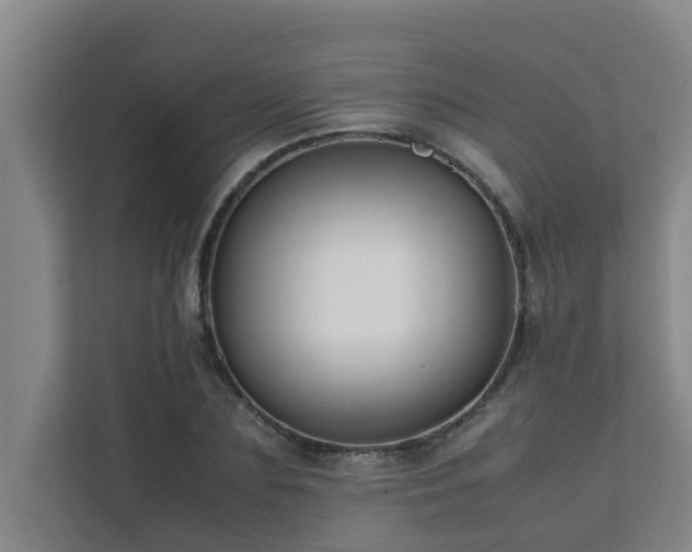 X0000112070883200908041232