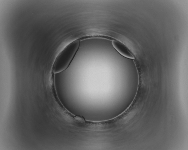 X0000112070885200908041232