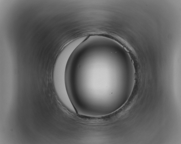 X0000112070889200908041232