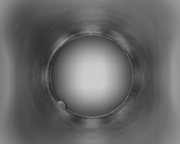 X0000112070893200908041232