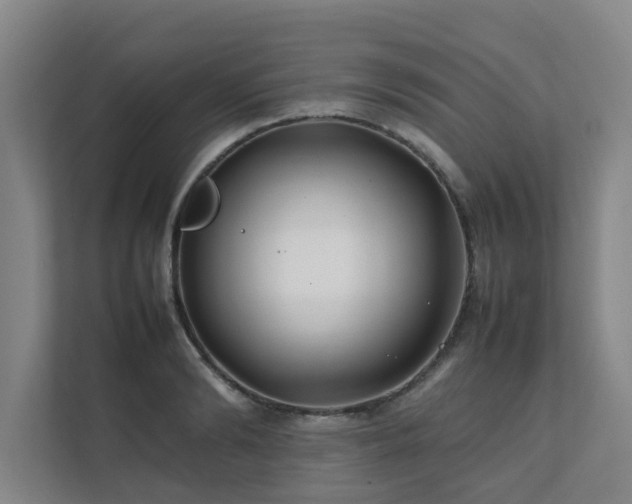 X0000112070894200908041232