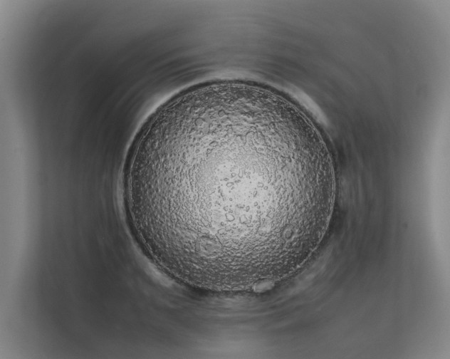 X0000112070895200908041231