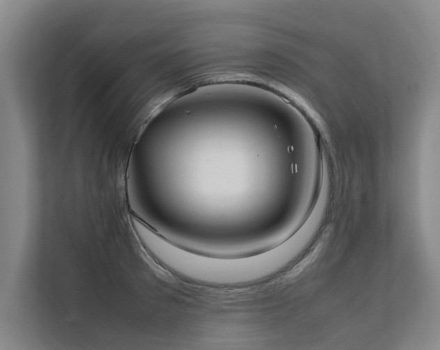 X0000112070897200908041231