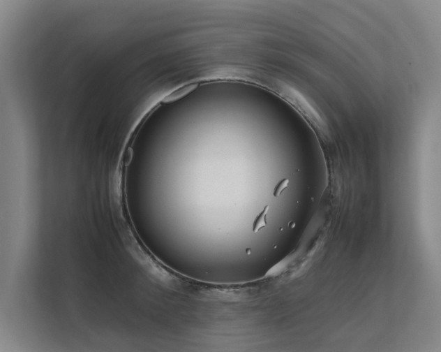 X0000112070900200908041231
