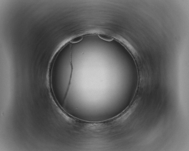 X0000112070902200908041231