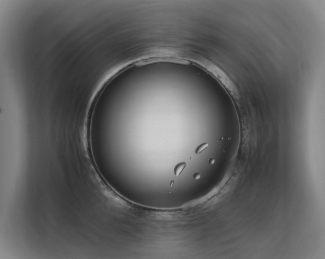 X0000112070904200908041231
