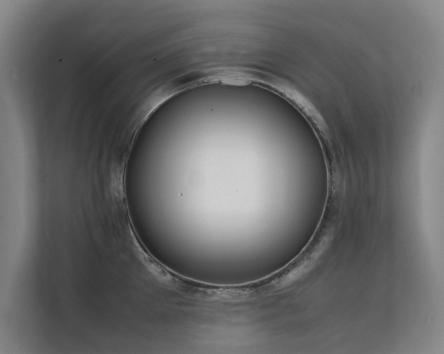 X0000112070905200908041231