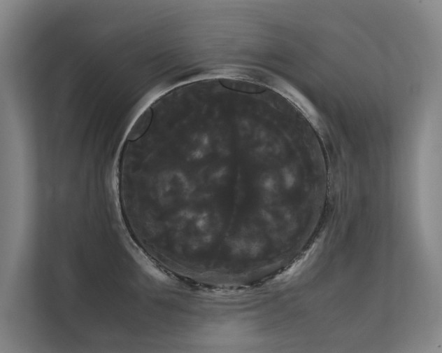 X0000112070907200908041231