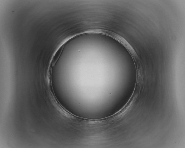 X0000112070908200908041231