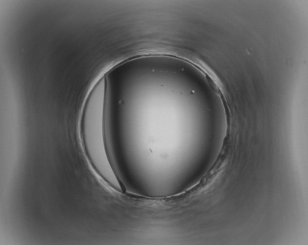 X0000112070909200908041231
