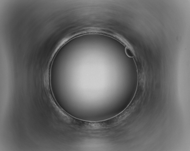 X0000112070911200908041231