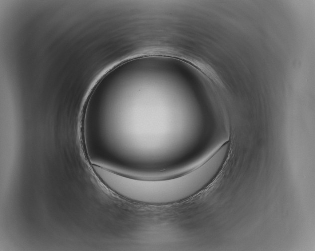 X0000112070912200908041231