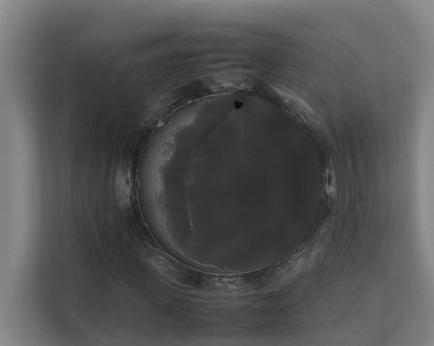 X0000112070915200908041231