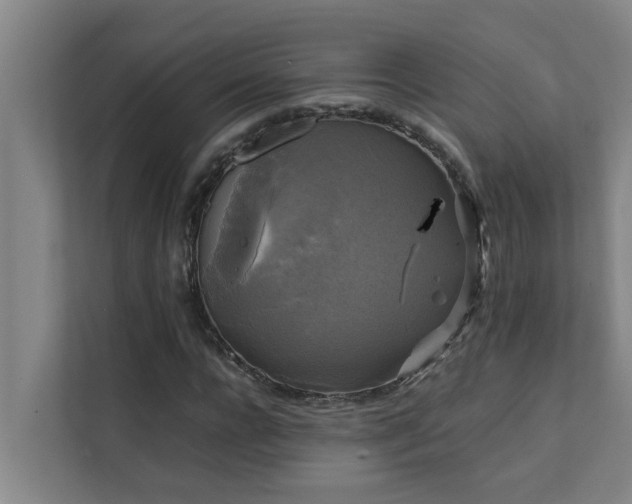 X0000112070920200908041231