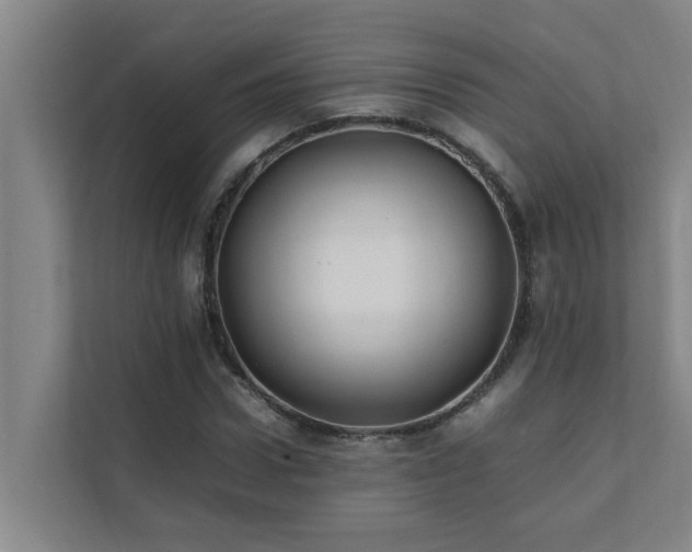 X0000112070922200908041231