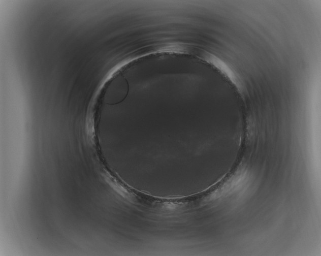 X0000112070923200908041231