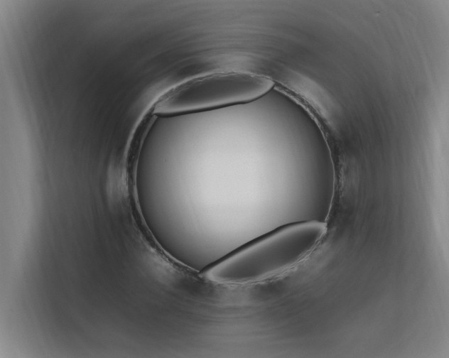 X0000112070924200908041231