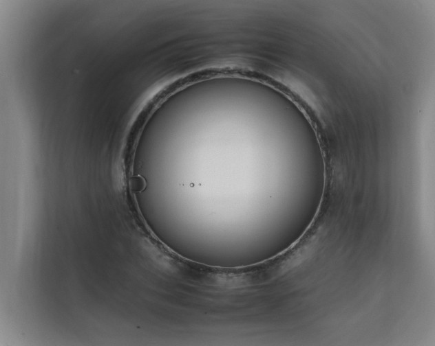 X0000112070927200908041231