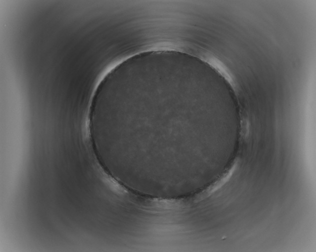 X0000112070928200908041231