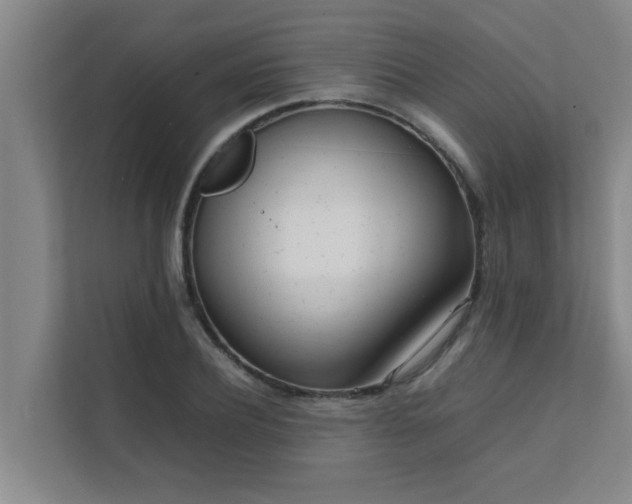 X0000112070932200908041231