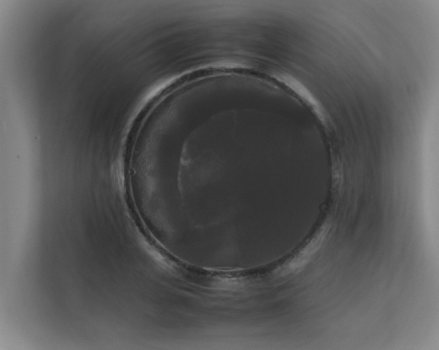 X0000112070935200908041231