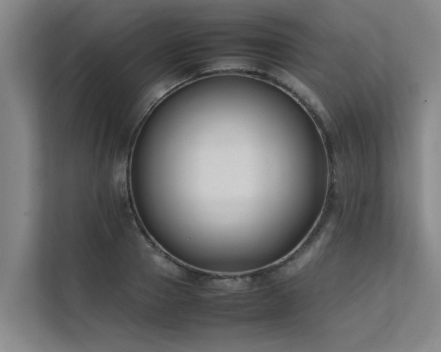 X0000112070937200908041231