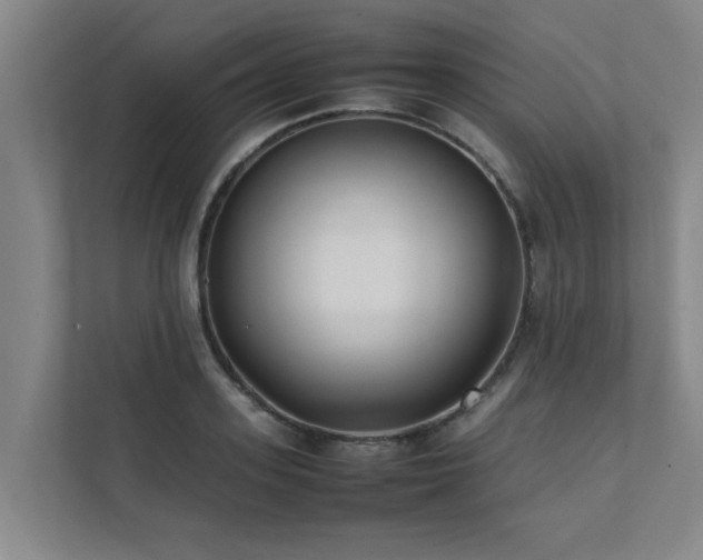 X0000112070939200908041231