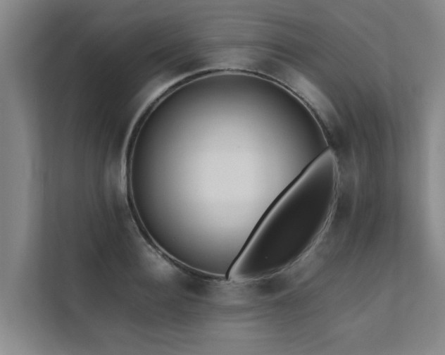 X0000112070940200908041231