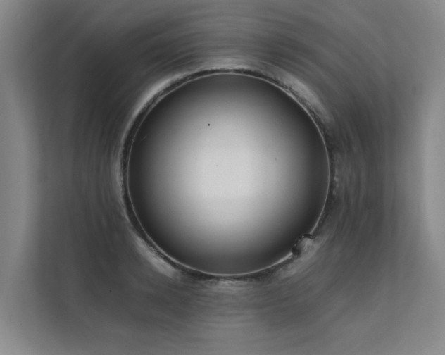 X0000112070942200908041231