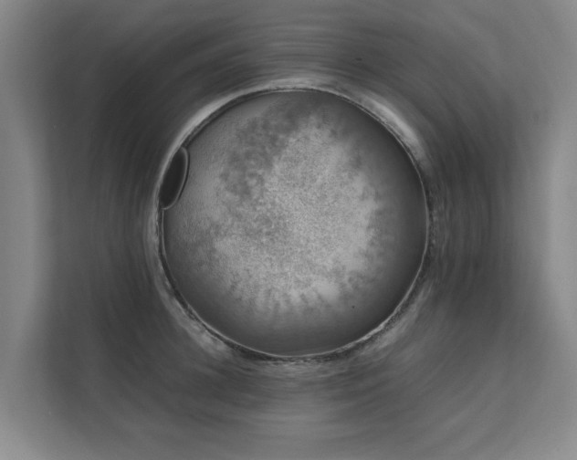 X0000112070948200908041231