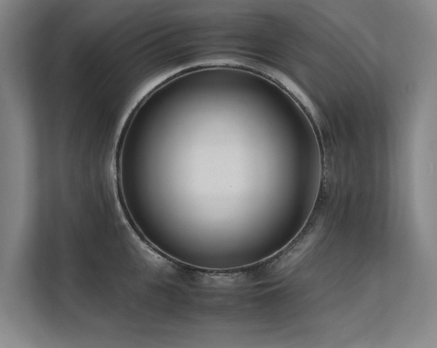 X0000112070951200908041231