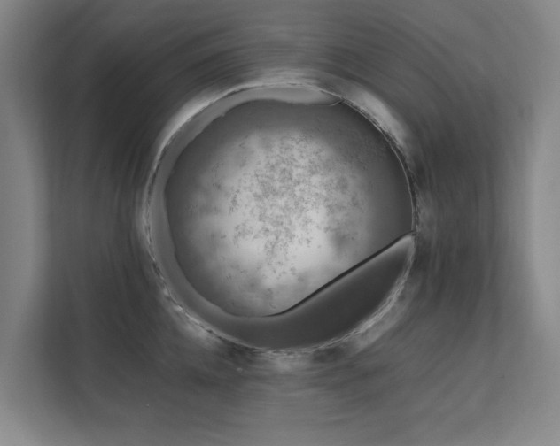 X0000112070952200908041231