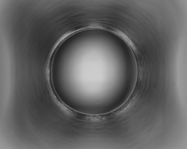 X0000112070955200908041231