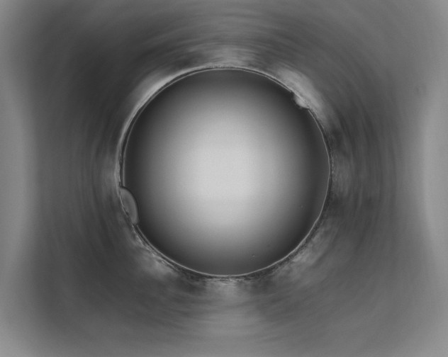 X0000112070956200908041231
